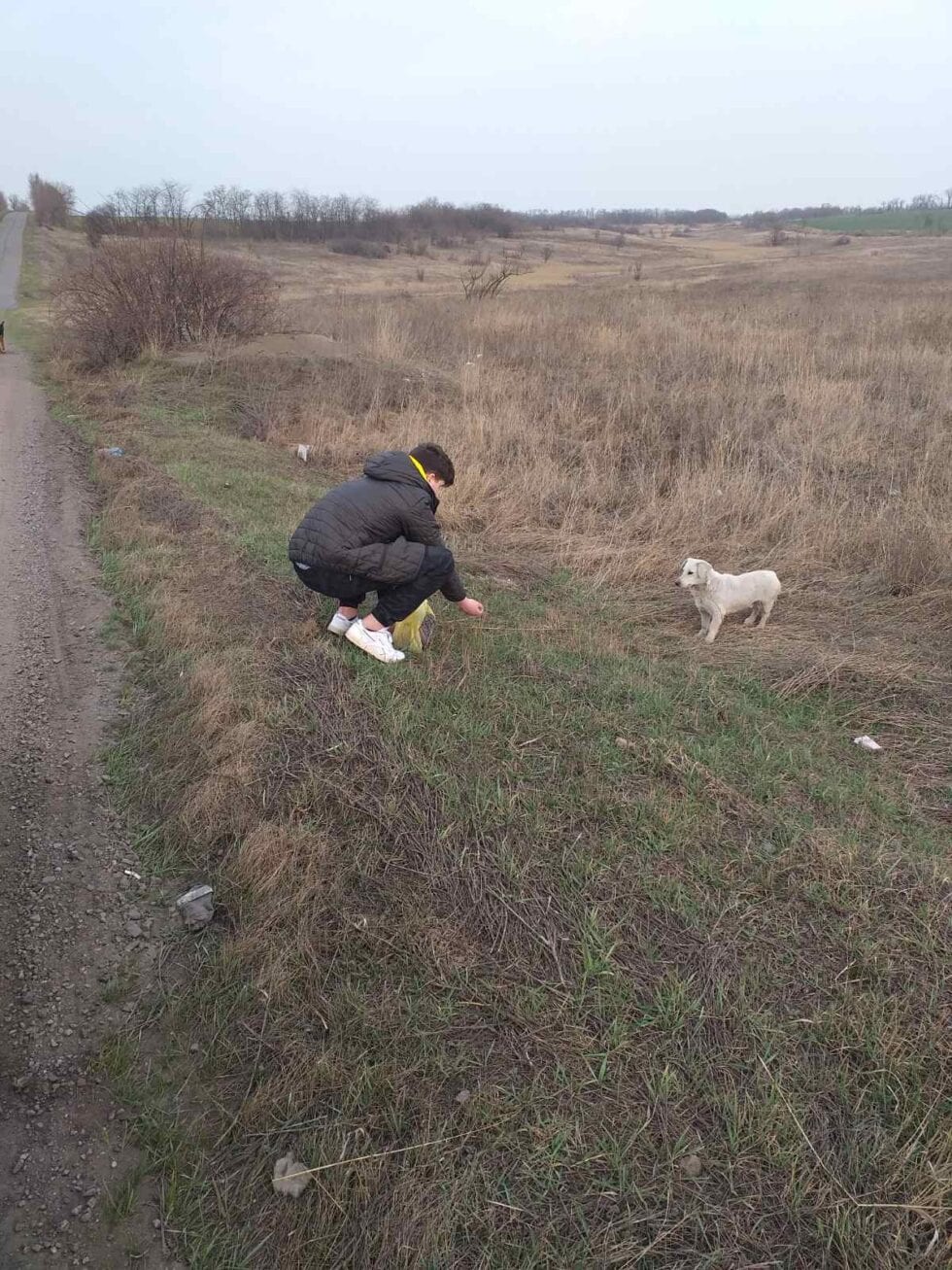 Фото із закупівлі та передачі корму