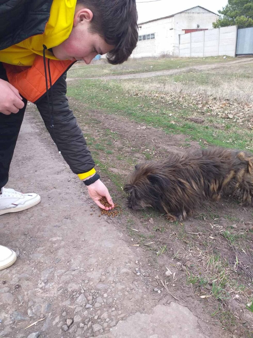 Фото із закупівлі та передачі корму