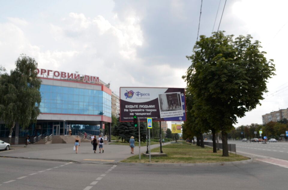 Фото 5 — Проєкт «Бігборди»