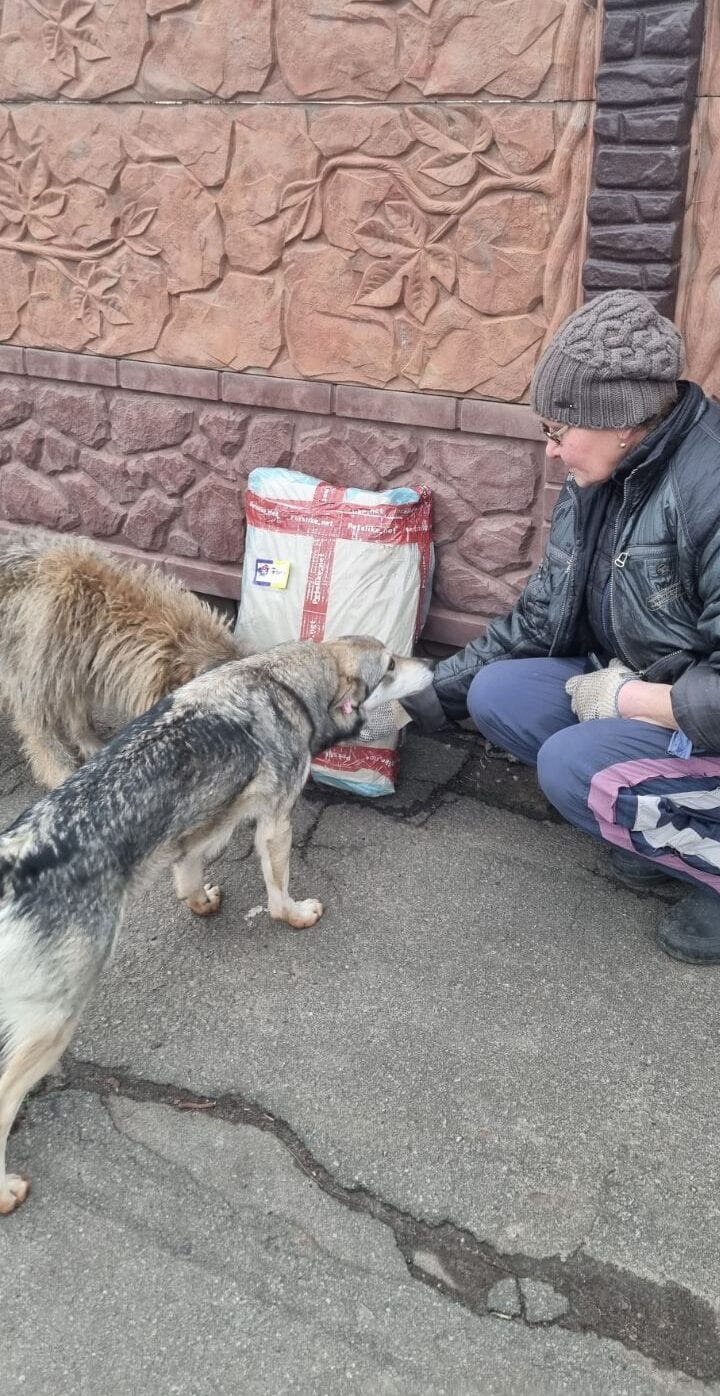 Фото із закупівлі та передачі корму