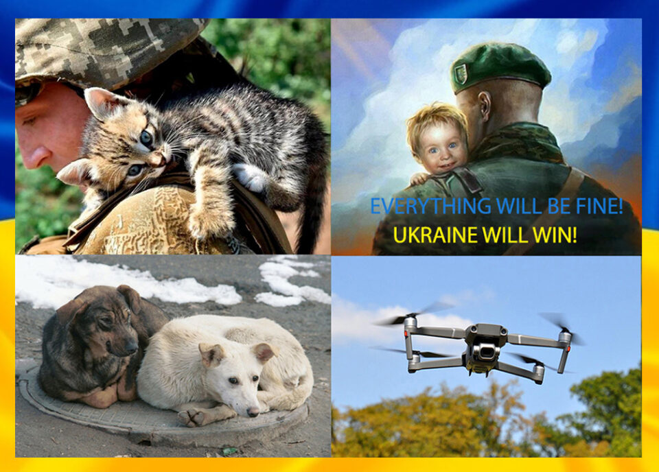 Our activities during the war