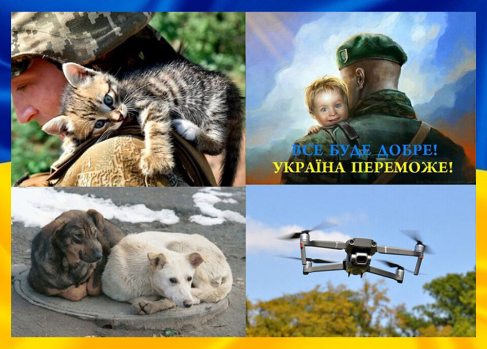 Наша дiяльнiсть пiд час вiйни